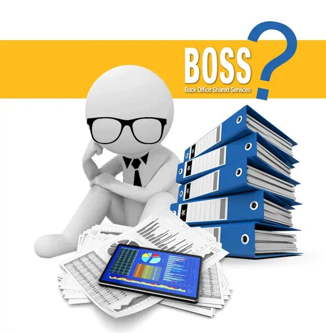 Are You Worried About How You’ll Work With Your BOSS Accounting Outsourcing Team?